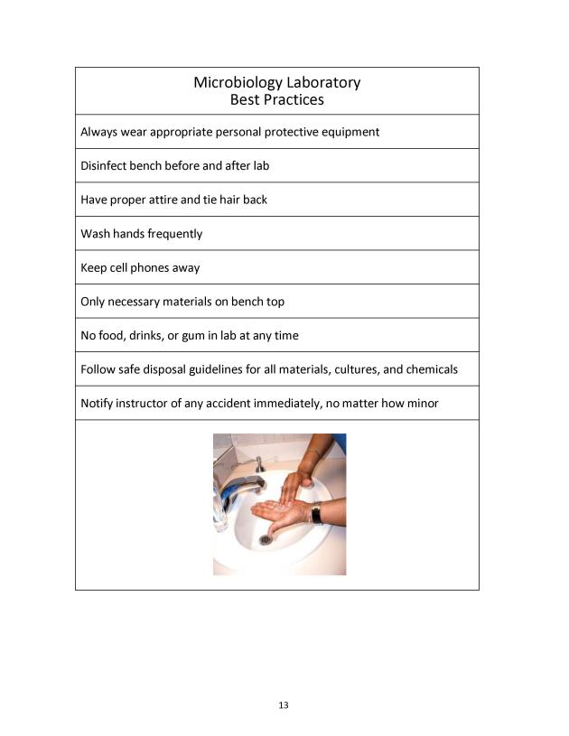 Principles of Microbiology Laboratory Manual - New Page