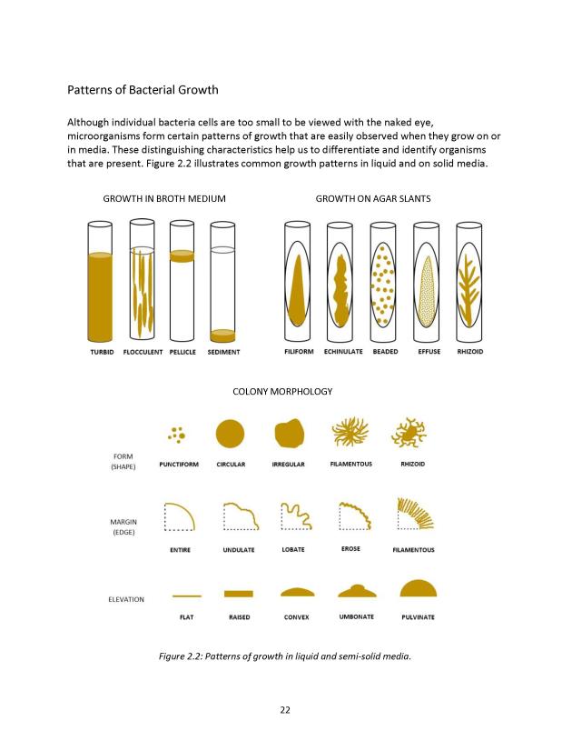 Principles of Microbiology Laboratory Manual - New Page