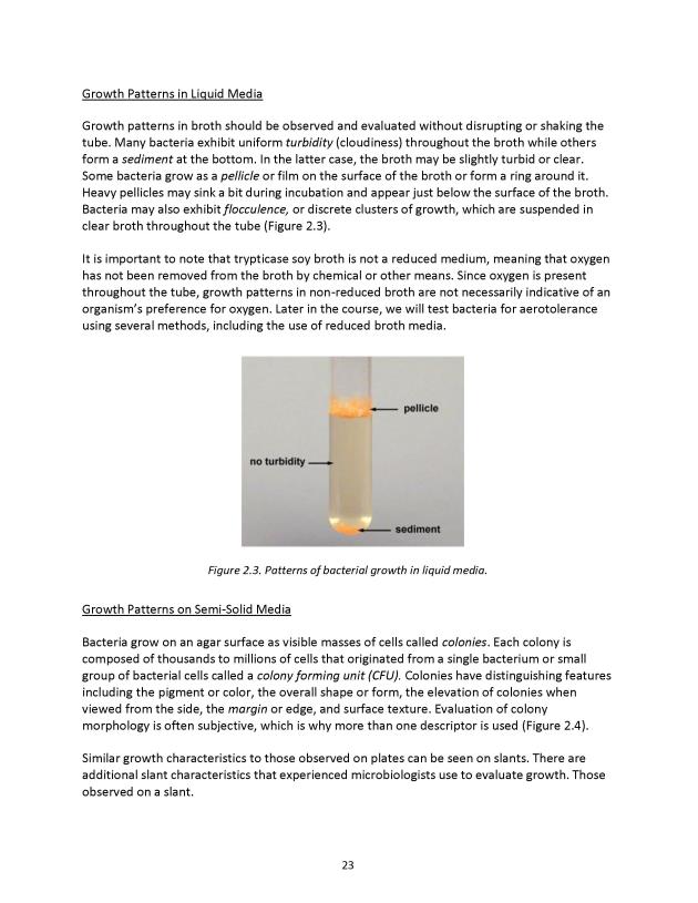 Principles of Microbiology Laboratory Manual - New Page