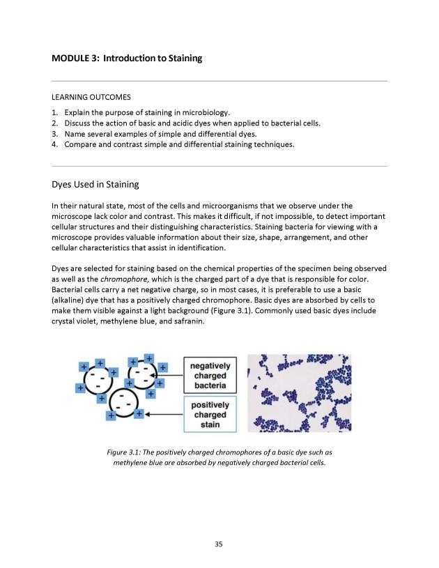 Principles of Microbiology Laboratory Manual - New Page