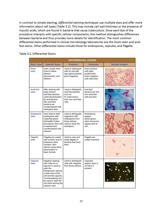 Principles of Microbiology Laboratory Manual - New Page