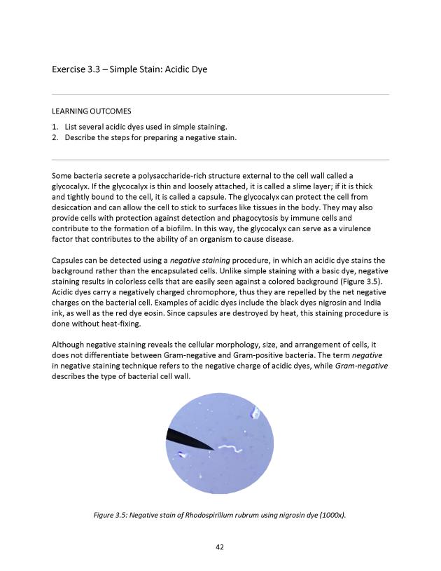 Principles of Microbiology Laboratory Manual - New Page