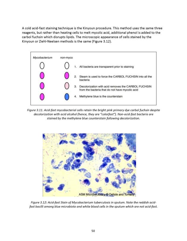 Principles of Microbiology Laboratory Manual - New Page