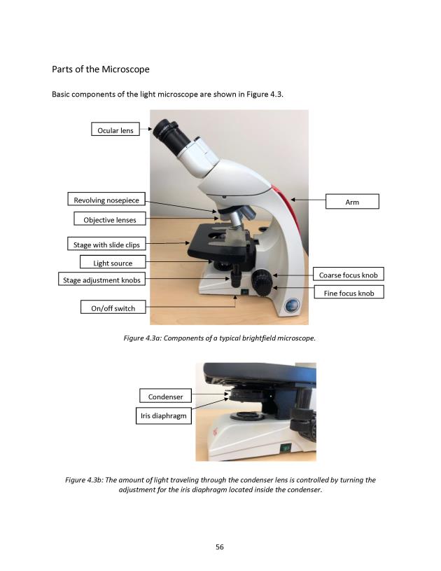 Principles of Microbiology Laboratory Manual - New Page