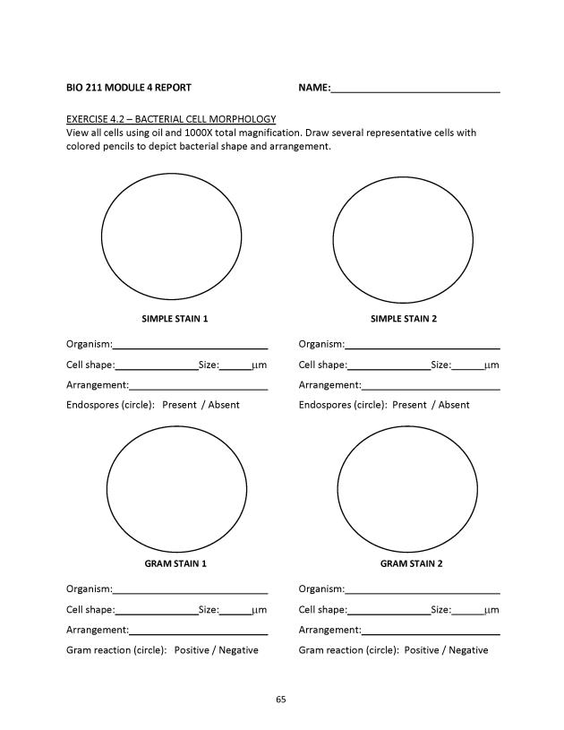 Principles of Microbiology Laboratory Manual - New Page