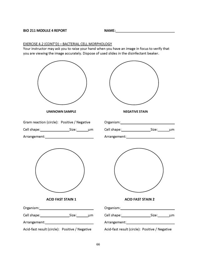 Principles of Microbiology Laboratory Manual - New Page