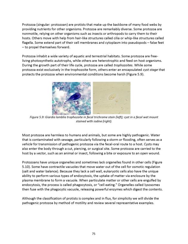 Principles of Microbiology Laboratory Manual - New Page