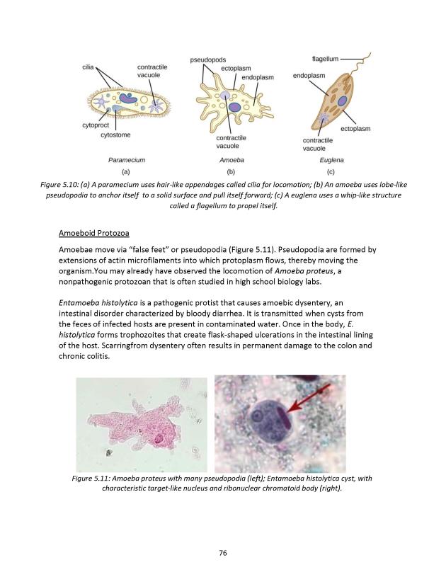 Principles of Microbiology Laboratory Manual - New Page