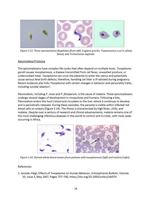 Principles of Microbiology Laboratory Manual - New Page