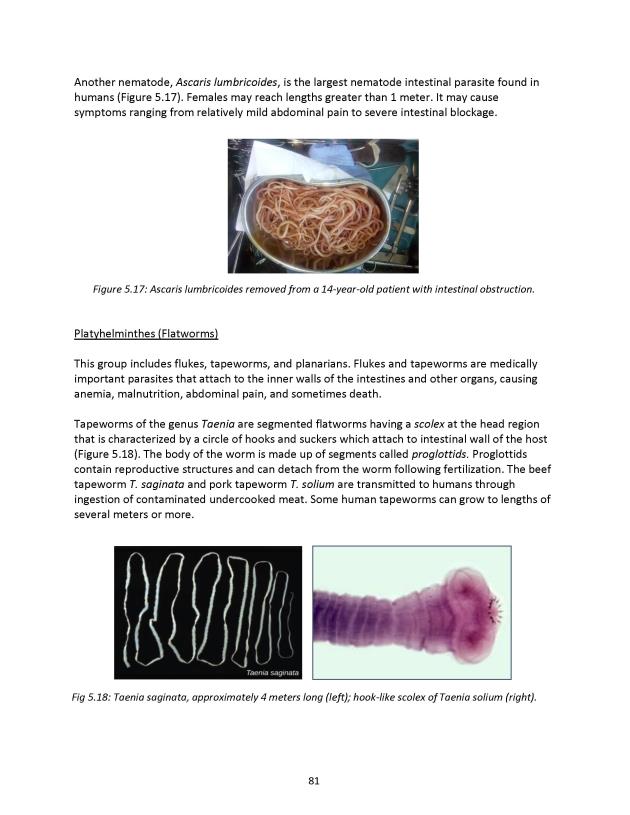 Principles of Microbiology Laboratory Manual - New Page
