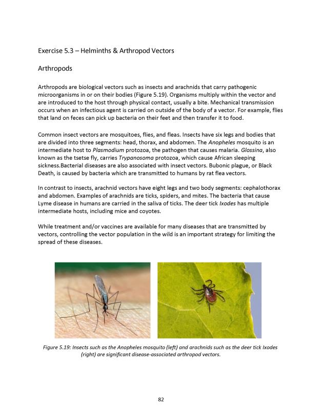 Principles of Microbiology Laboratory Manual - New Page