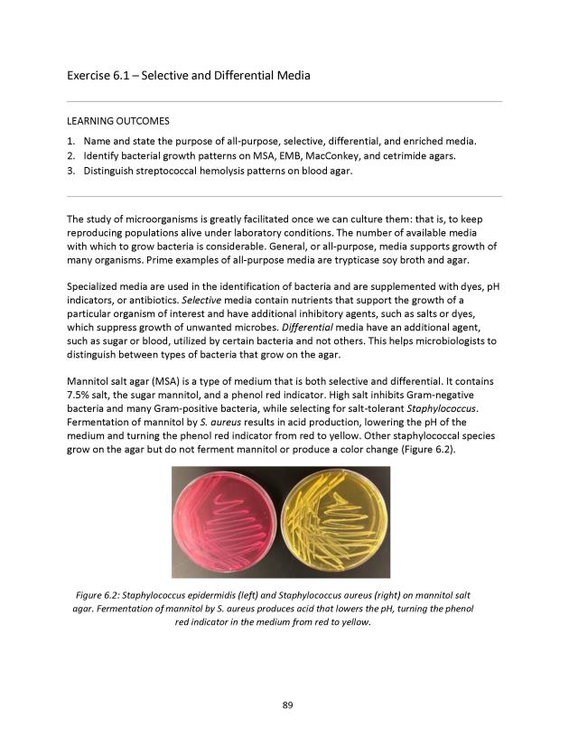 Principles of Microbiology Laboratory Manual - New Page