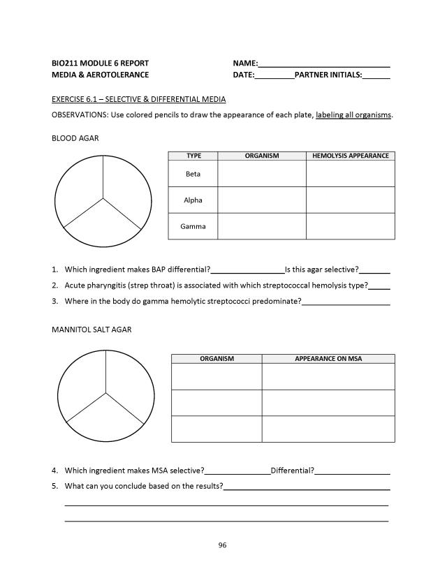 Principles of Microbiology Laboratory Manual - New Page