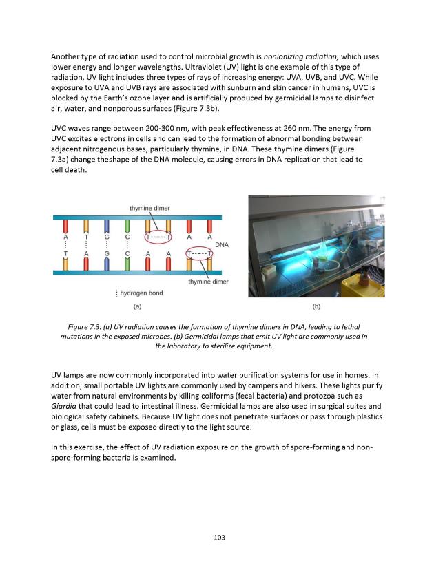 Principles of Microbiology Laboratory Manual - New Page