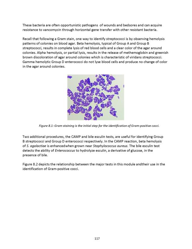 Principles of Microbiology Laboratory Manual - New Page