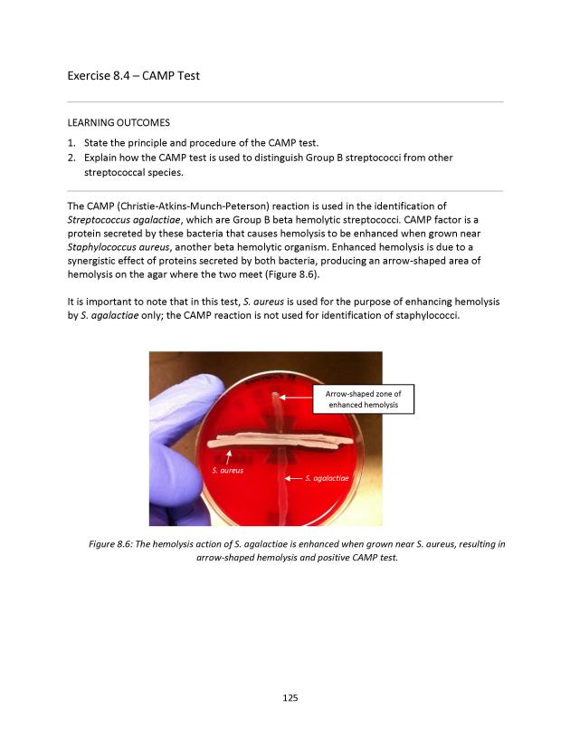 Principles of Microbiology Laboratory Manual - New Page