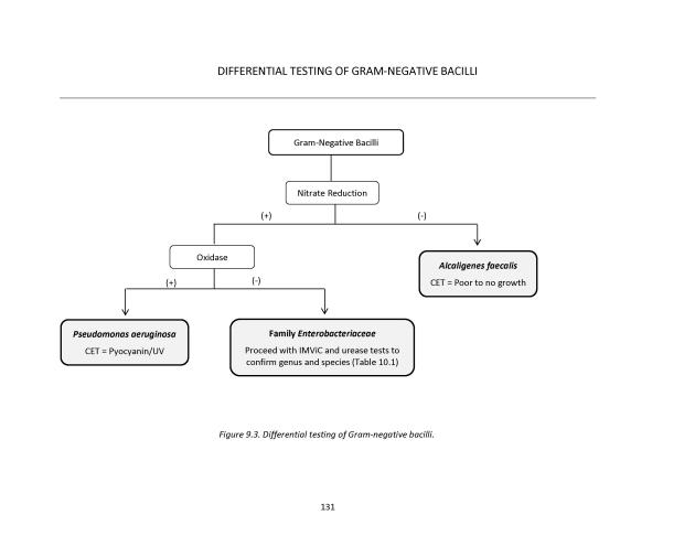 Principles of Microbiology Laboratory Manual - New Page