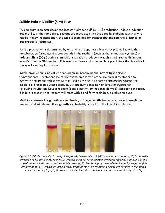 Principles of Microbiology Laboratory Manual - New Page