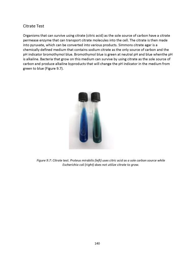 Principles of Microbiology Laboratory Manual - New Page