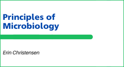 Click here to access all OER developed for Principles of Microbiology