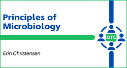 Click here to access all OER developed for Principles of Microbiology