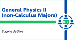 General Physics 1 (non-Calculus Majors)